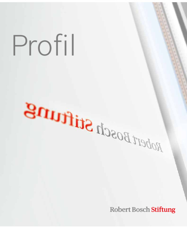 Bosch Publication Profil