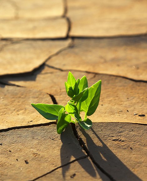 68740309_L_Foto Fotolia Viktor_470x577px.jpg