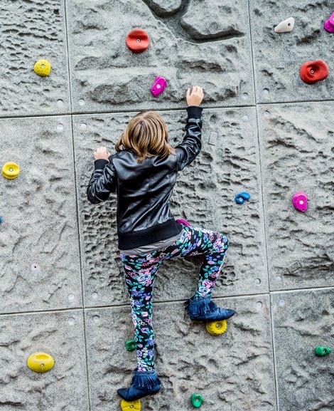 Schulentwicklungsberatung Header Bild