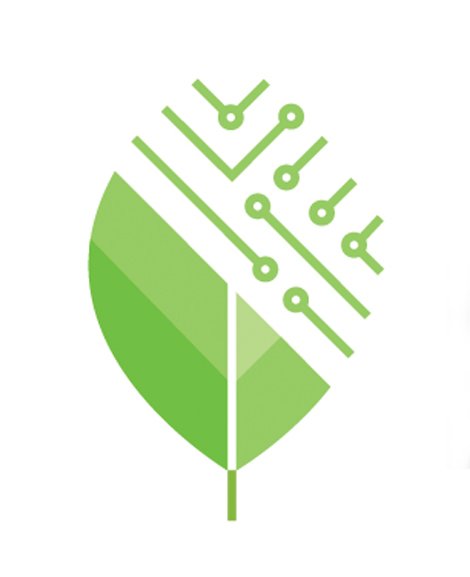 Blatt, halb natur, halb digital