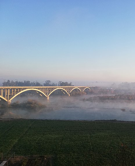 Bridge in the morning