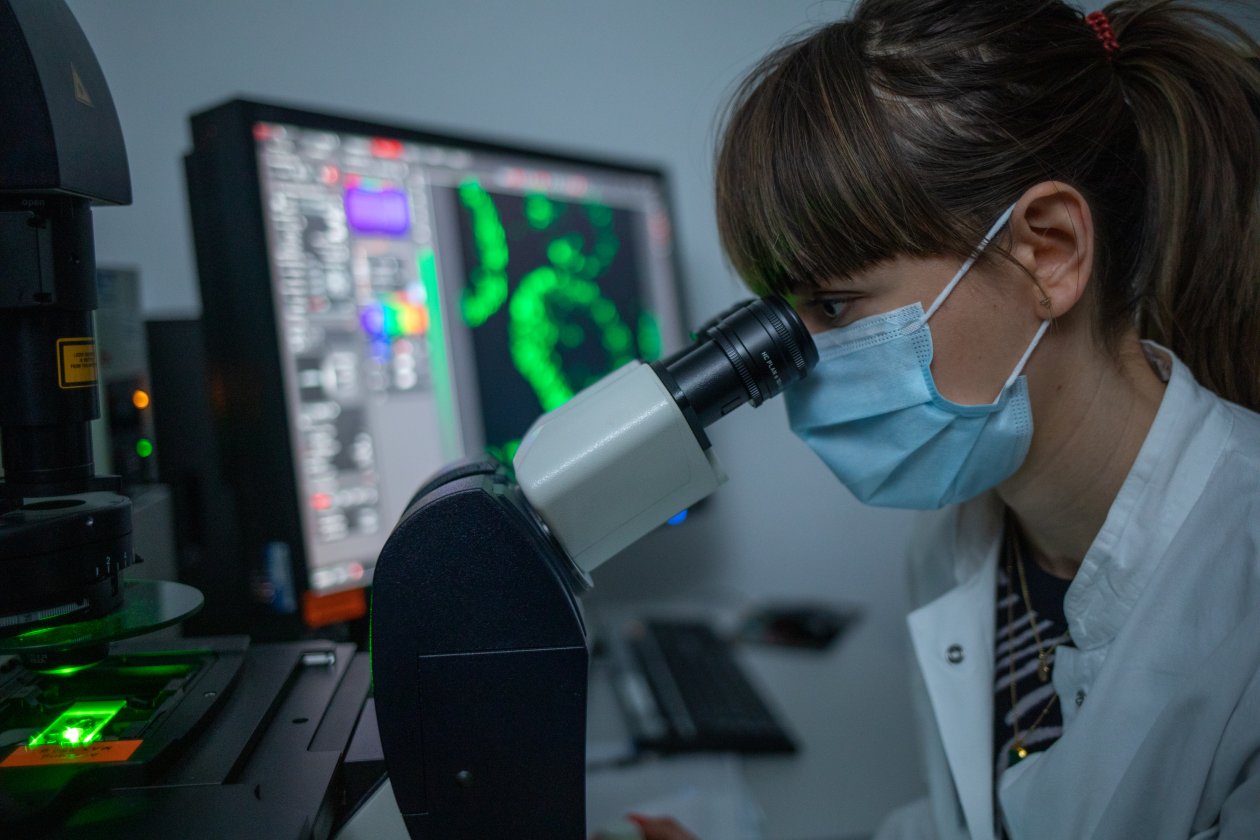 Tumoruntersuchung am IKP