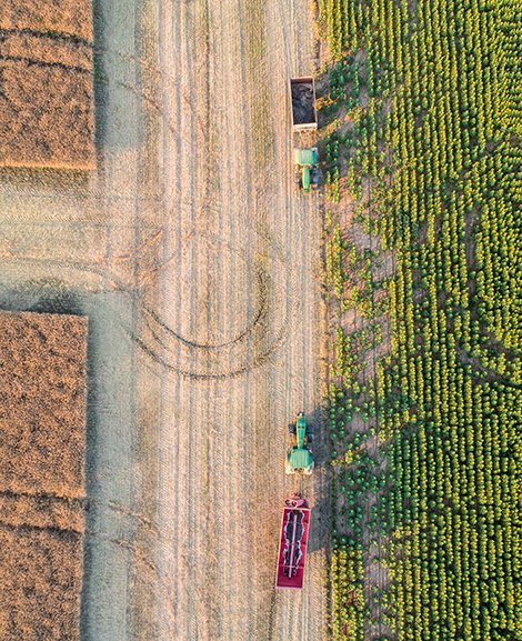 A bird's eye view of an agricultural field