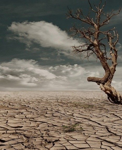 Trockenheit aufgrund des Klimawandels