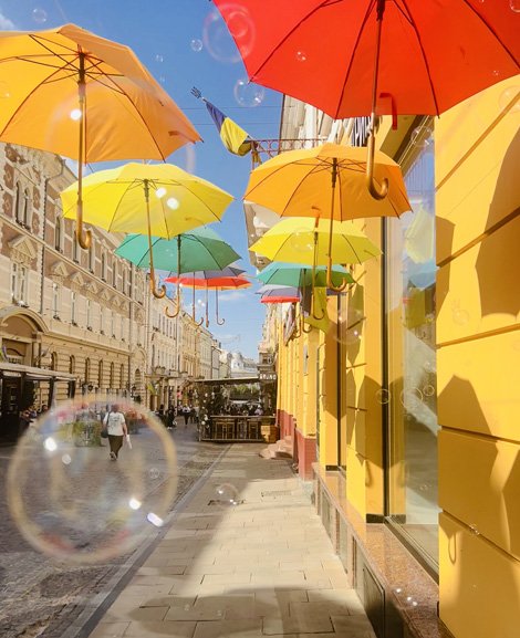 Bunte Schirme über einer Straße (Deko zum Literaturfestival in Czernowitz, 8.9.2024)