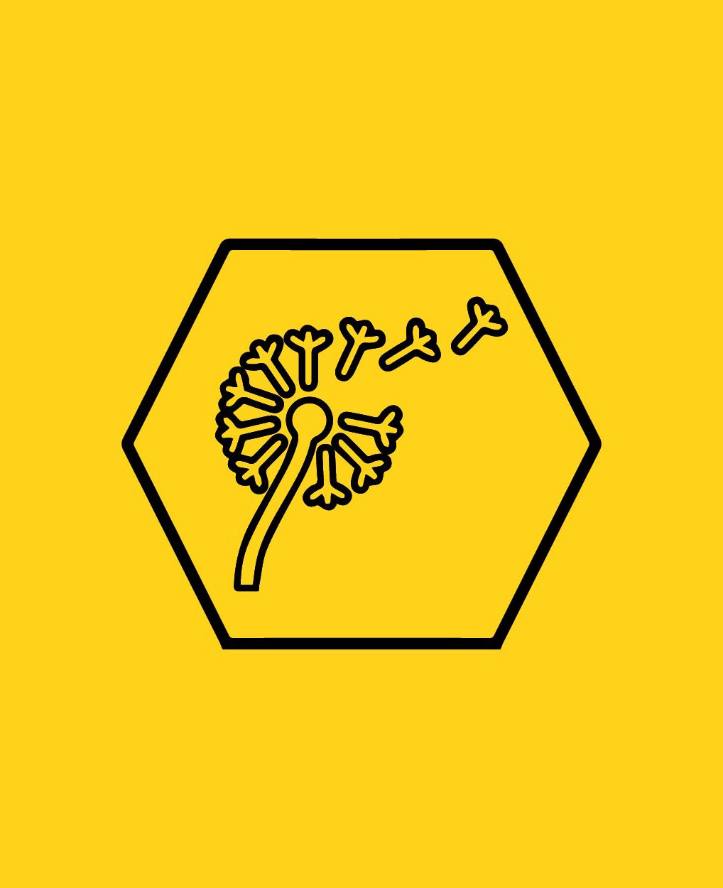 Illustration einer Pusteblume