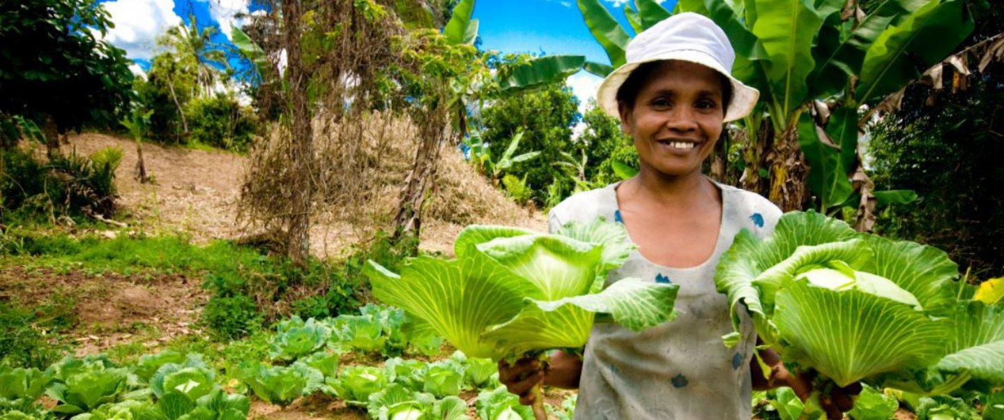 A cabbage farmer in Madagascar