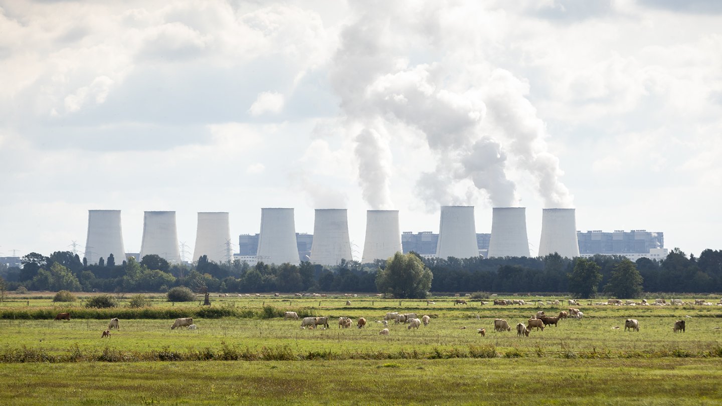 Wiese und Weideland, im Hintergrund Kraftwerk mit 9 Kühltürmen