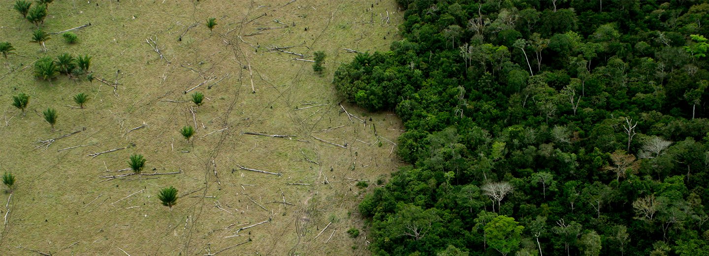 Thema Klimawandel Seitenkopf