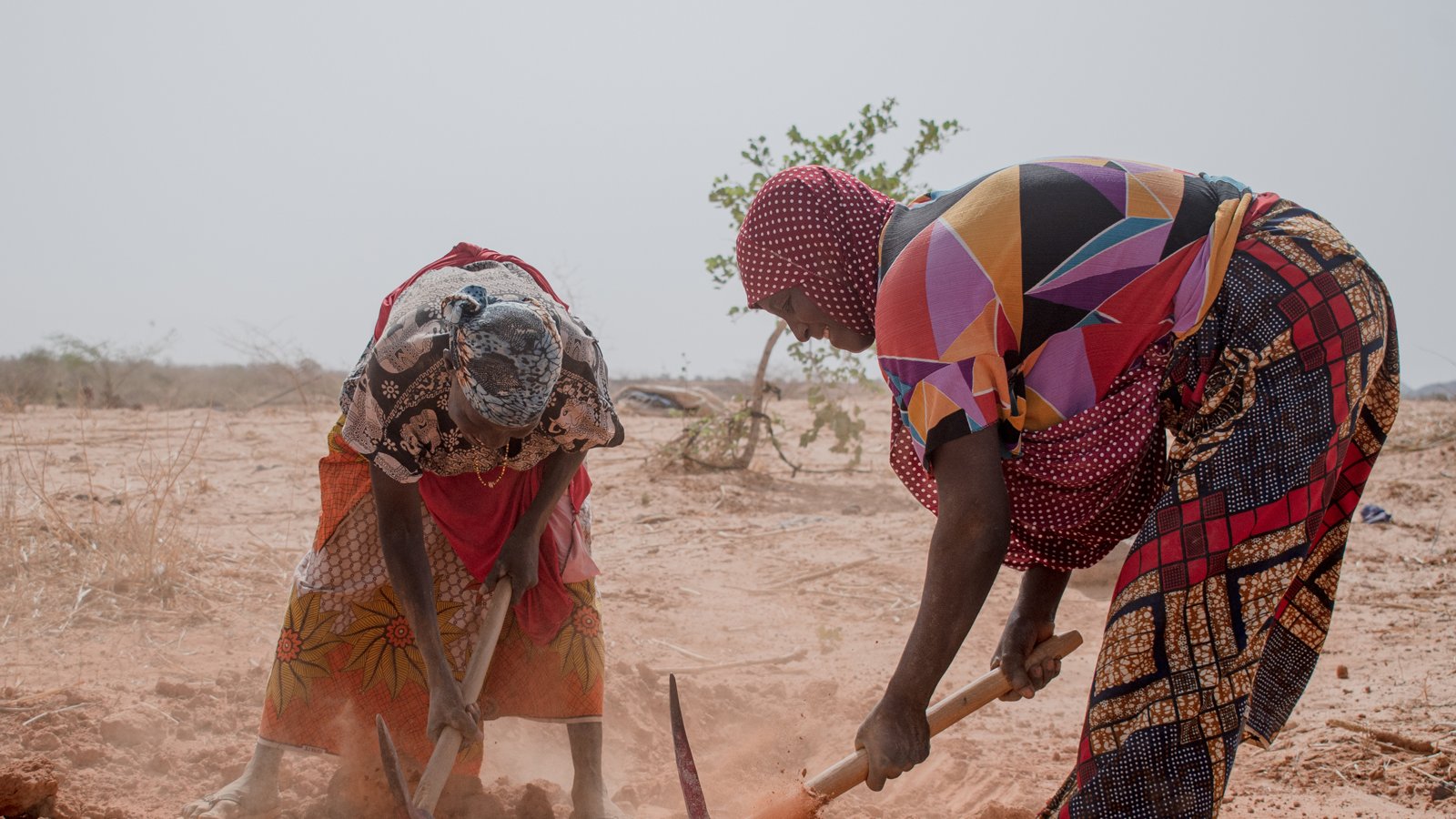 Agriculture in Niger