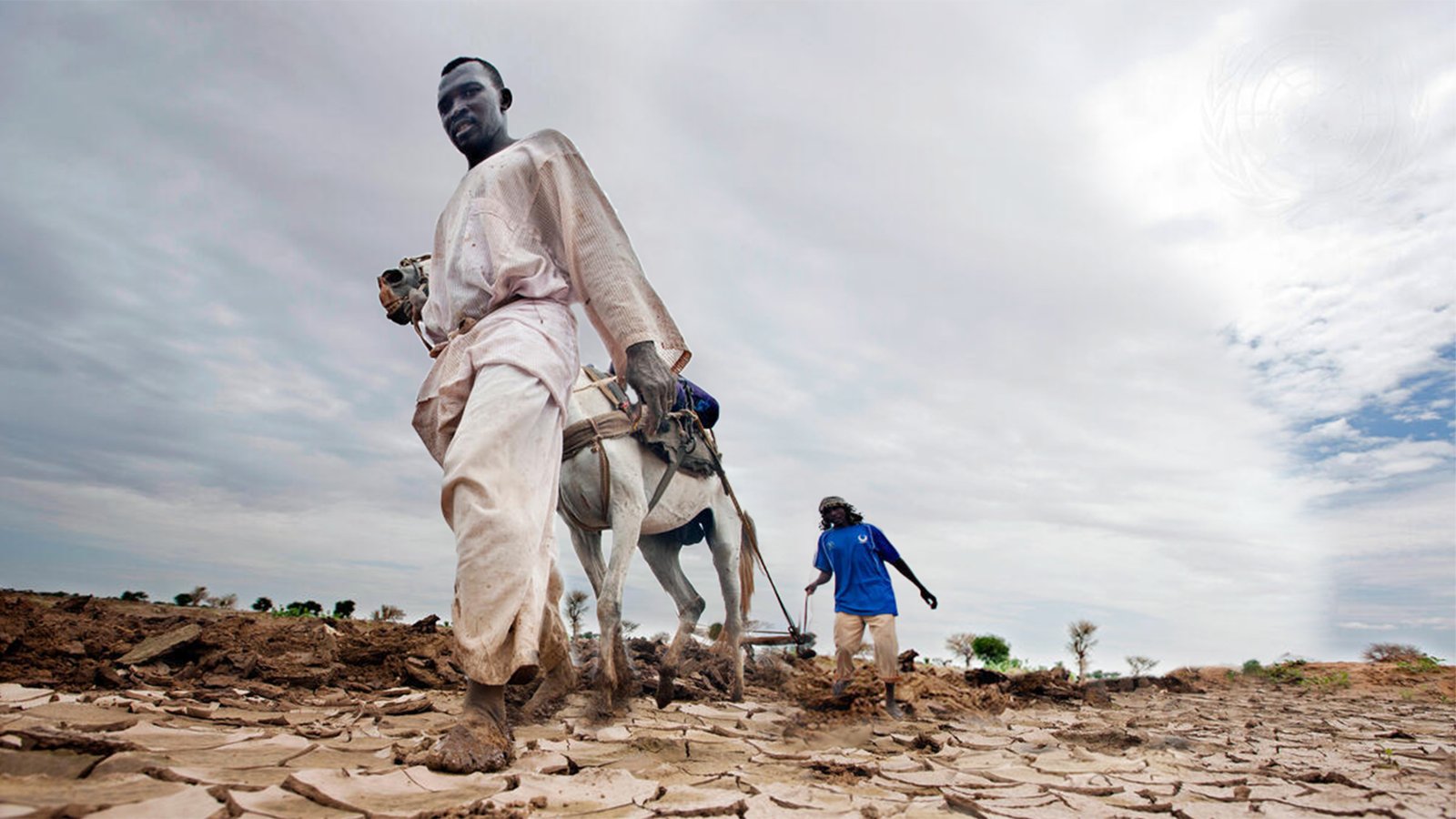 The photo shows a dry field that two people are digging with the help of a horse and cart.