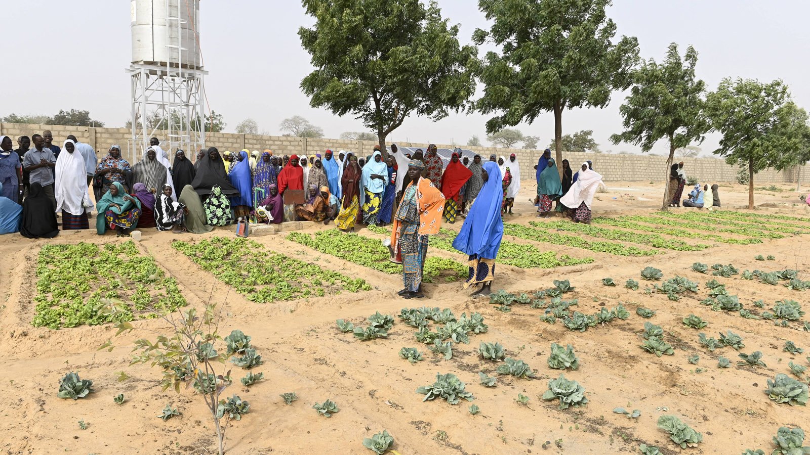 The picture shows a group of people standing in line in front of a water tower. In the foreground is a landscaped garden on dry earth.