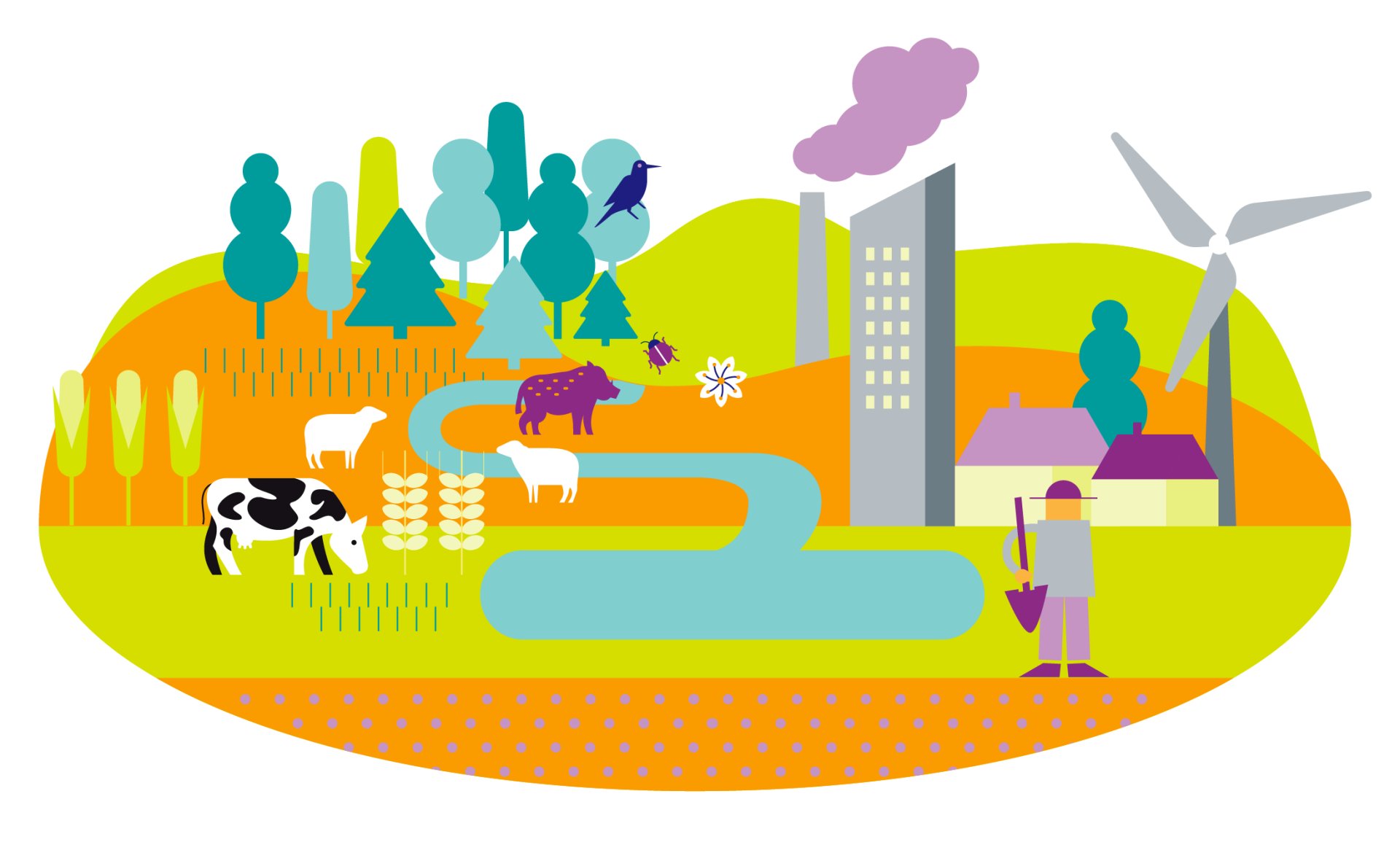 Illustration shows the different requirements on land