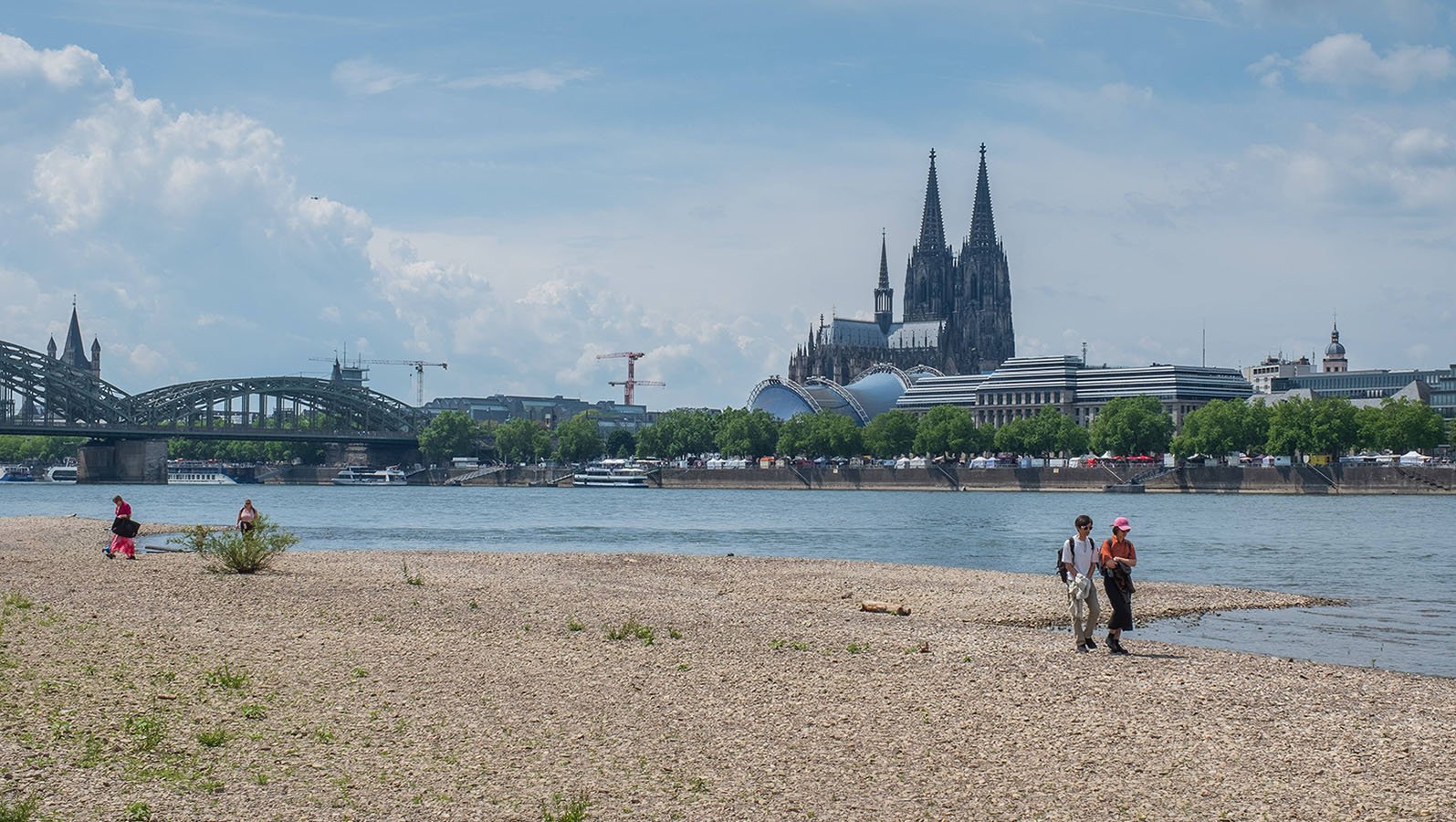 Der Rhein bei Köln mit extremem Niedrigwasser und freiliegenden Uferbänken (Mai 2025)