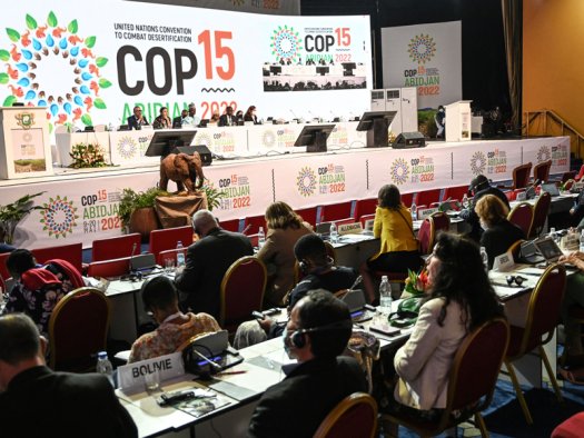 UNCCD-Konferenz in Abidjan