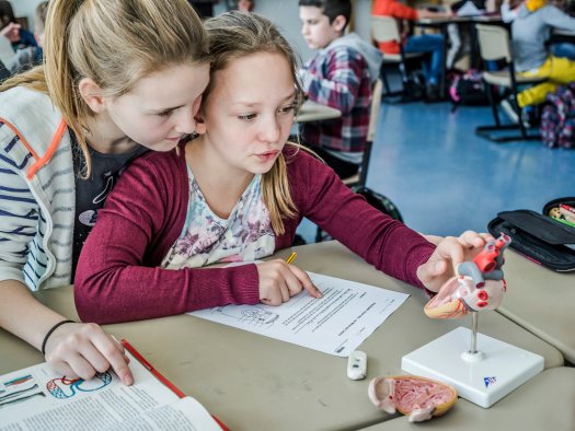 Hospiprogramm_Teaser