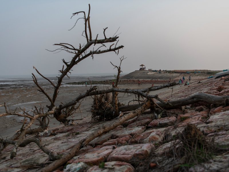 Mangroven als Bollwerk gegen Überschwemmung in den Sundarbans